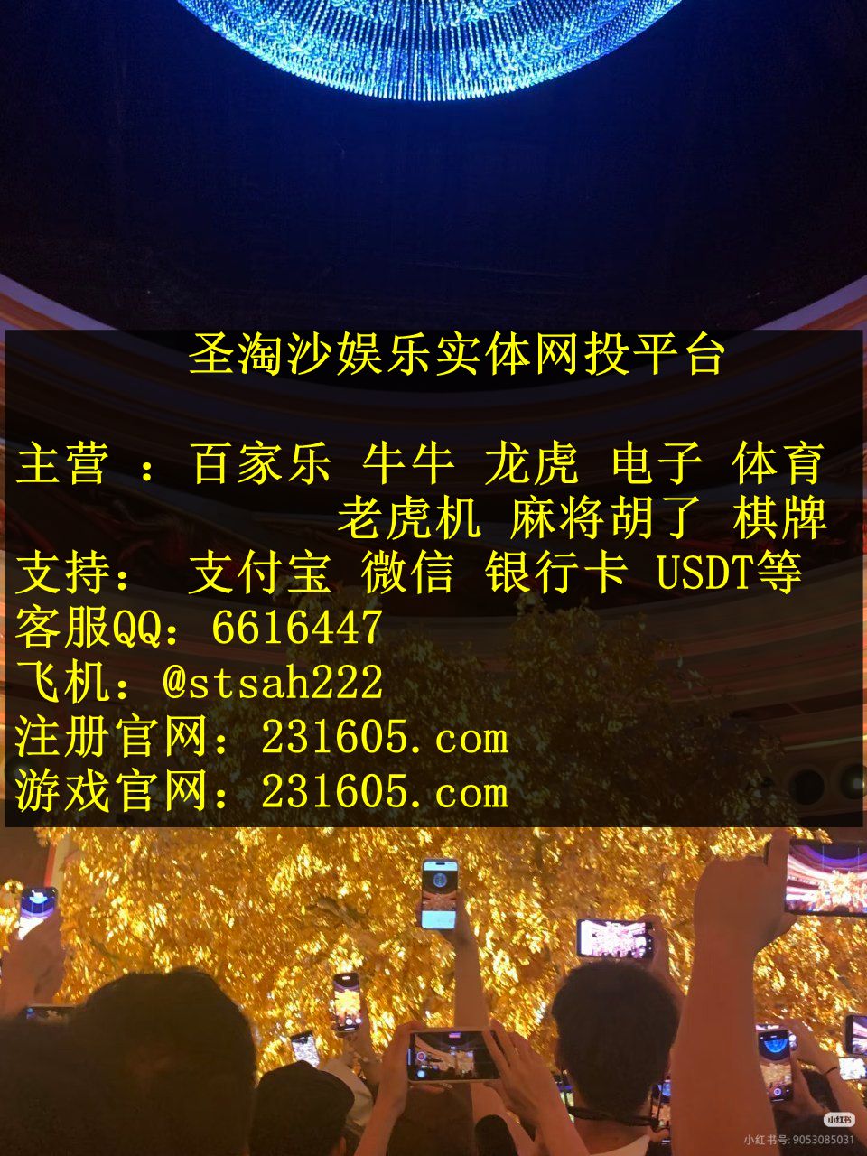 缅甸星际娱乐正规平台开户联系客服部QQ 6616447