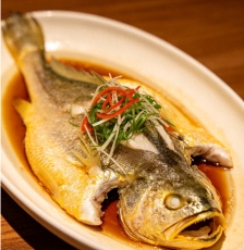 美食鱼一条