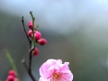 第9个