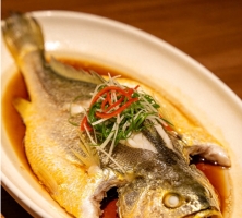 美食鱼一条